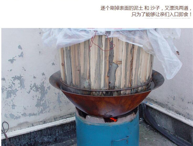 熟地黄5.jpg