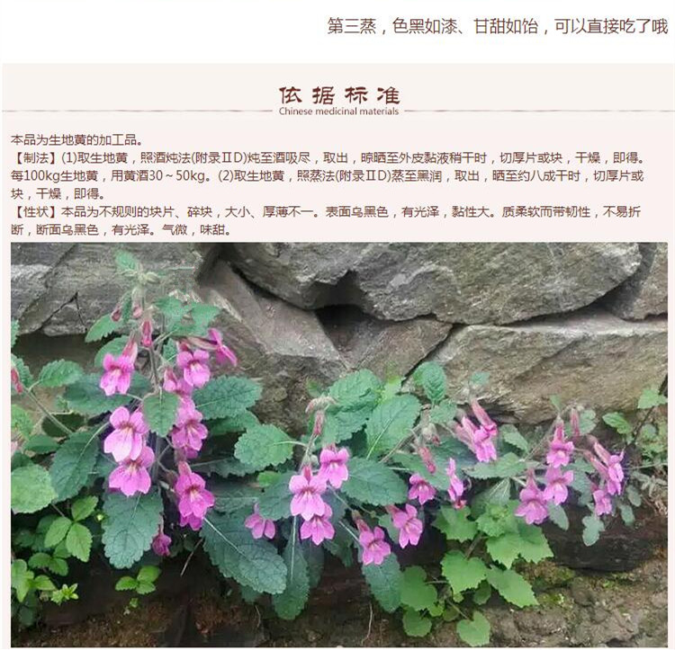 熟地黄11.jpg