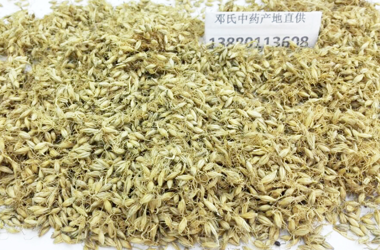 mayashengal012.jpg