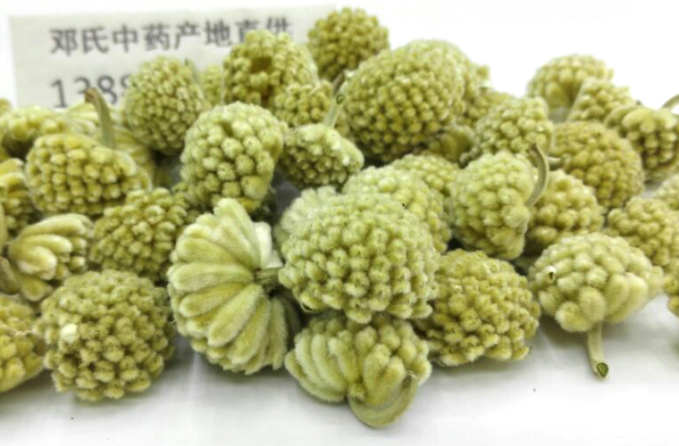 lvluohua011.jpg