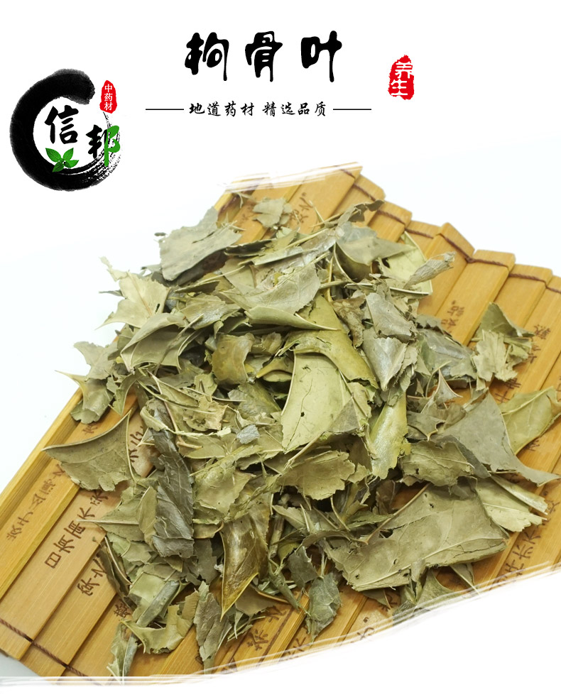 枸骨叶详情1.jpg