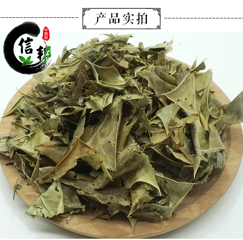 枸骨叶详情3.jpg