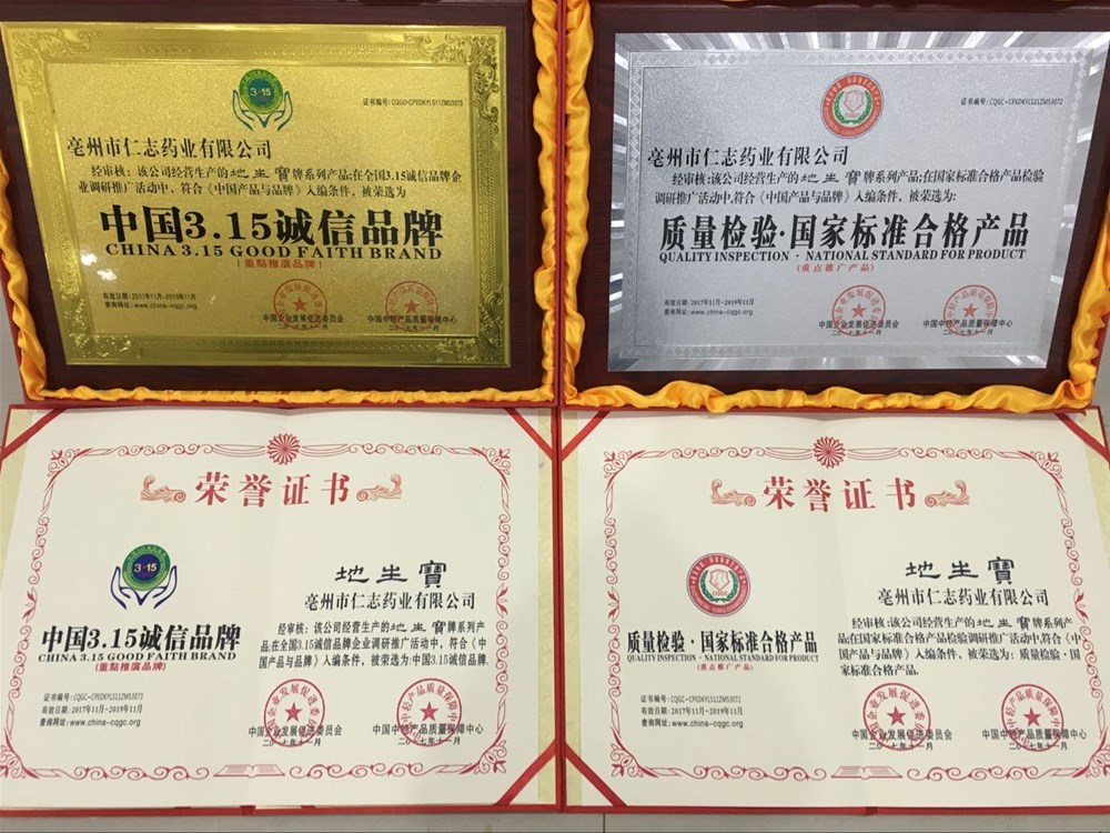 枸骨叶详情7.jpg