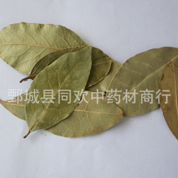 QQ截图20191217234728.png
