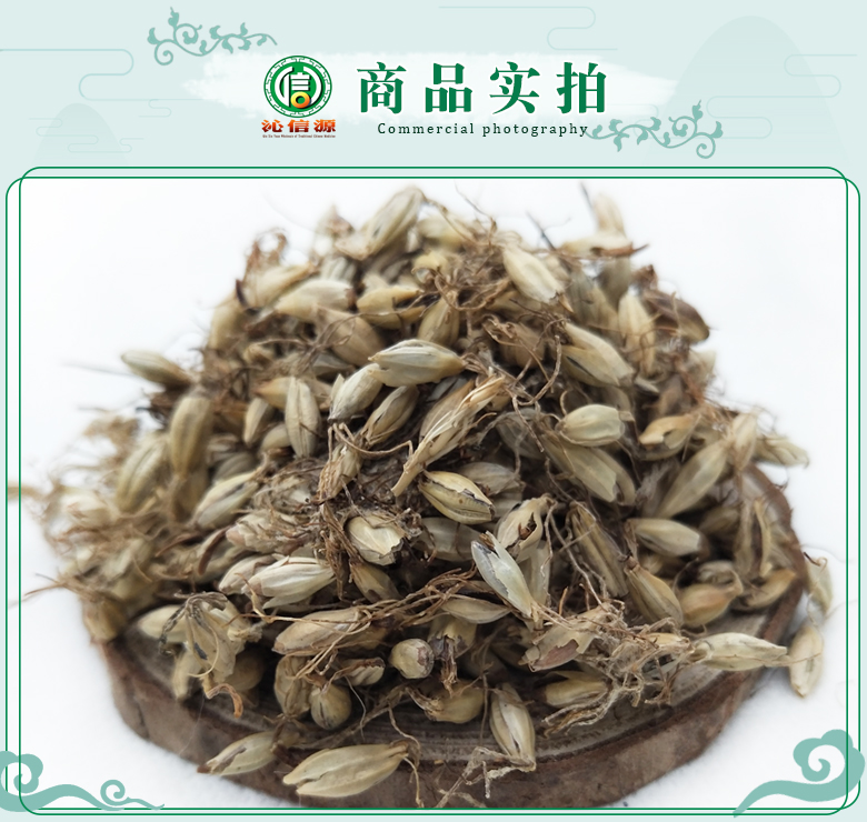 chaomaiyatong07.jpg