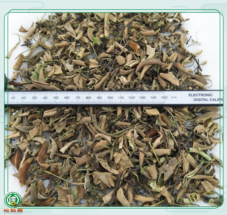 xiaoyeshiweitong08.jpg