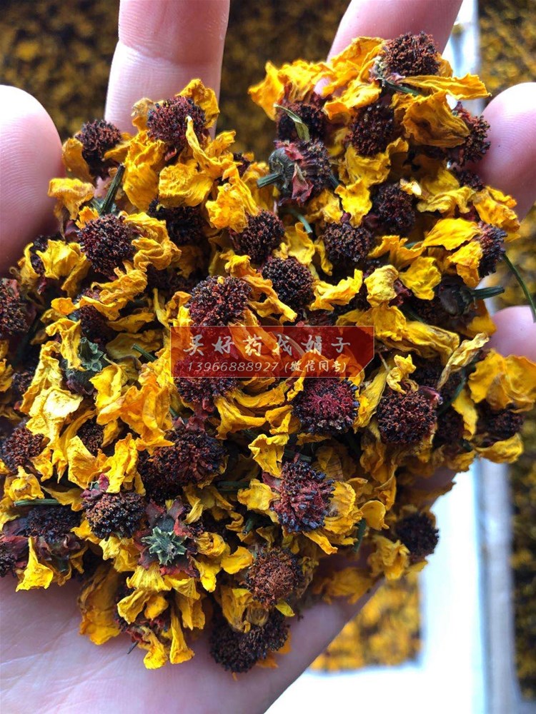 雪菊精品货 90 (2).jpg