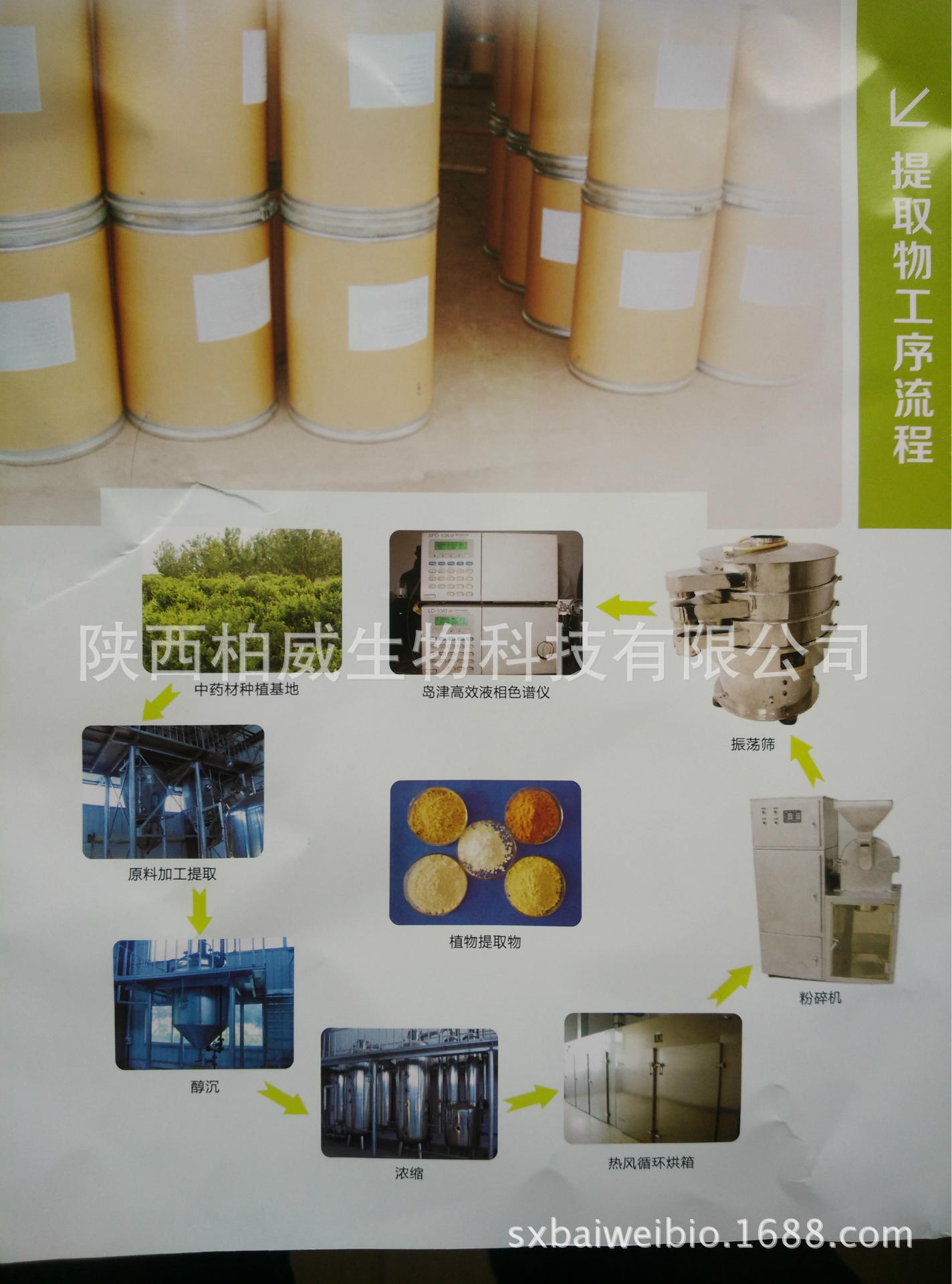 芦荟凝胶冻干粉 100:1 天然原料 芦荟冻干粉 水溶 工厂现货批发示例图15