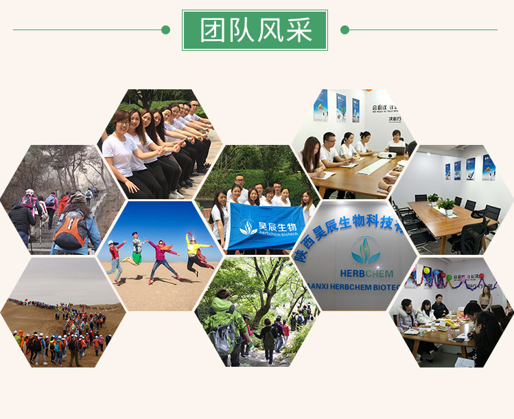破壁灵芝孢子粉98% 工厂直供 灵芝实体萃取 灵芝破壁孢子粉示例图8