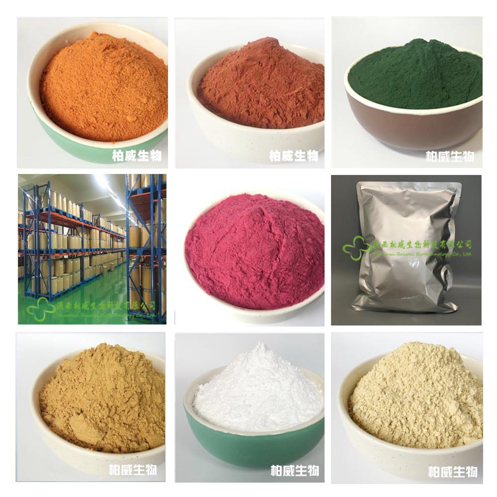 灵芝提取物 灵芝多糖 10% 天然原料 可定制规格10%-50% 柏威工厂示例图12