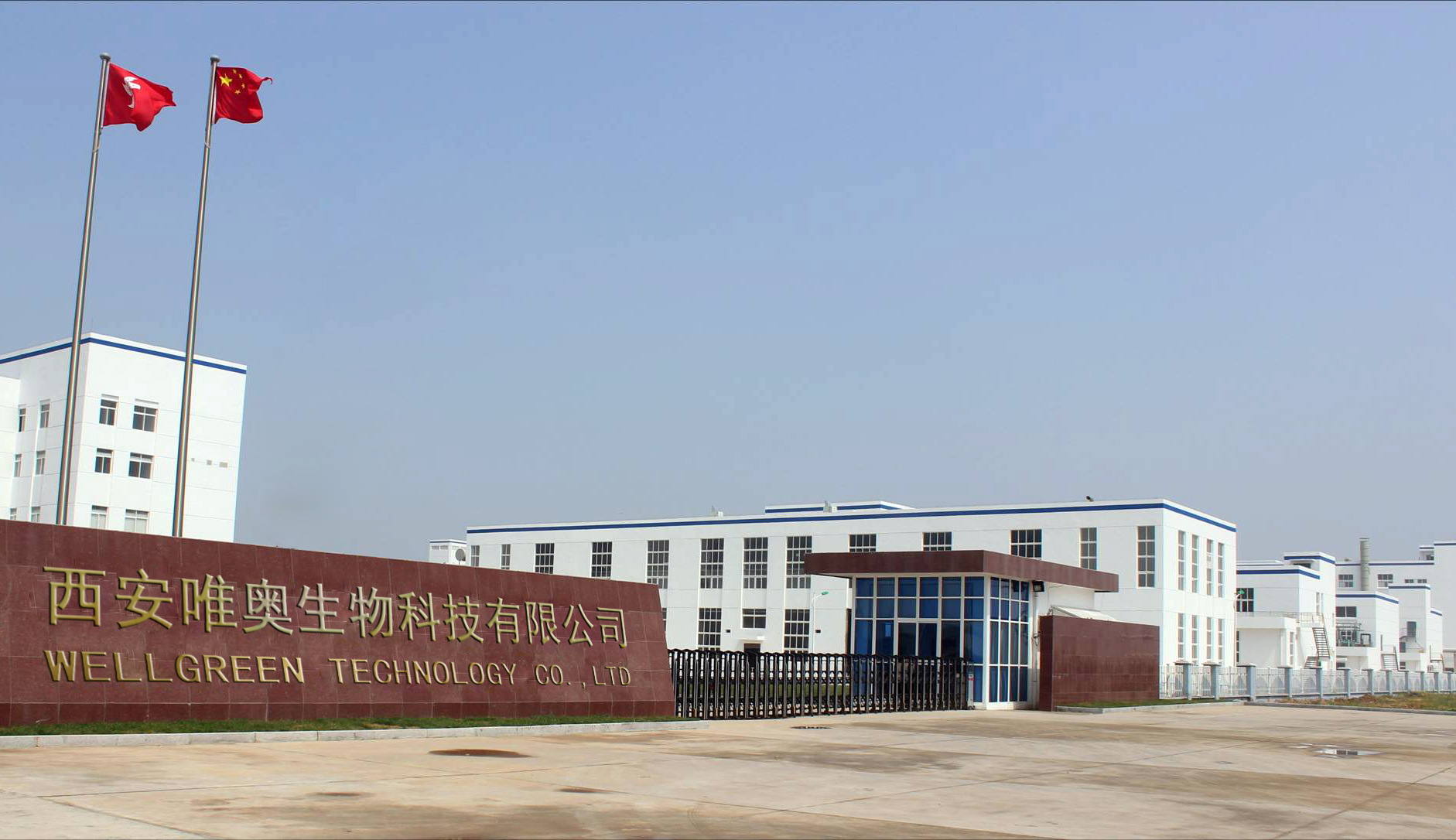 天然芦荟提取物 多种比例 芦荟冻干粉 喷干粉 化妆品级 多种含量示例图6