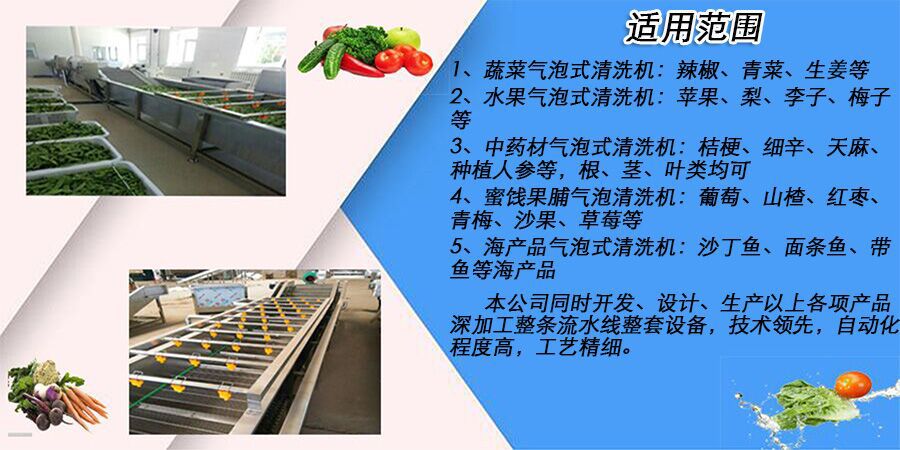 芦荟清洗机 气泡喷淋清洗机 龙须菜水浴式清洗机示例图13