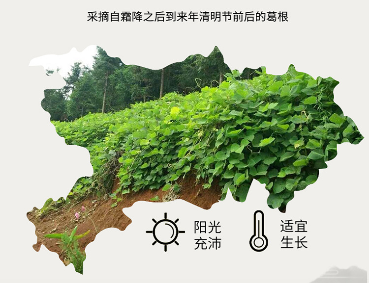 葛根粉-拷贝_06